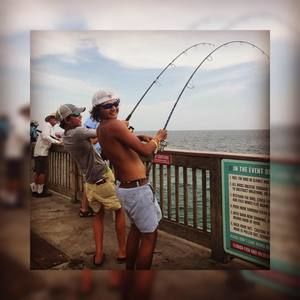 Meet your Posher, Ernest